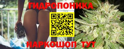 скорость Лесосибирск